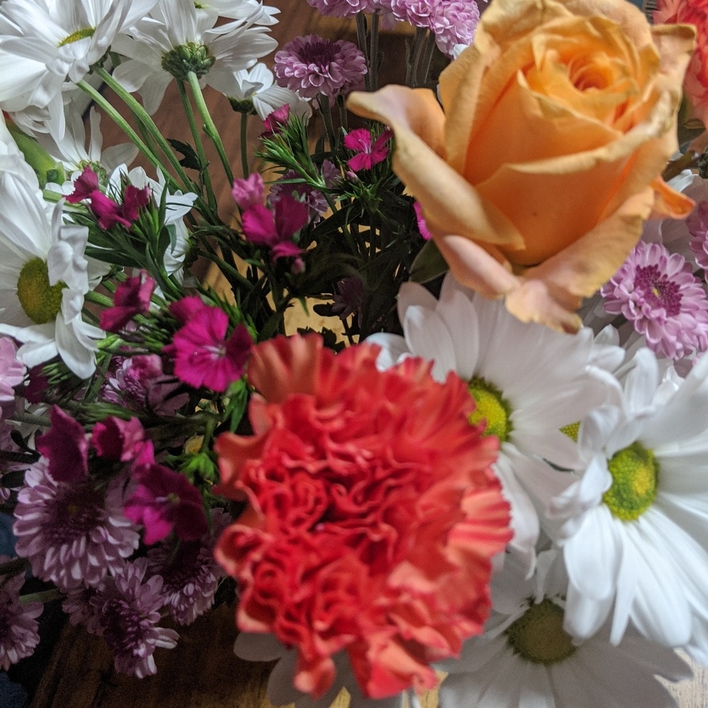 Meet your Posher, Lydia